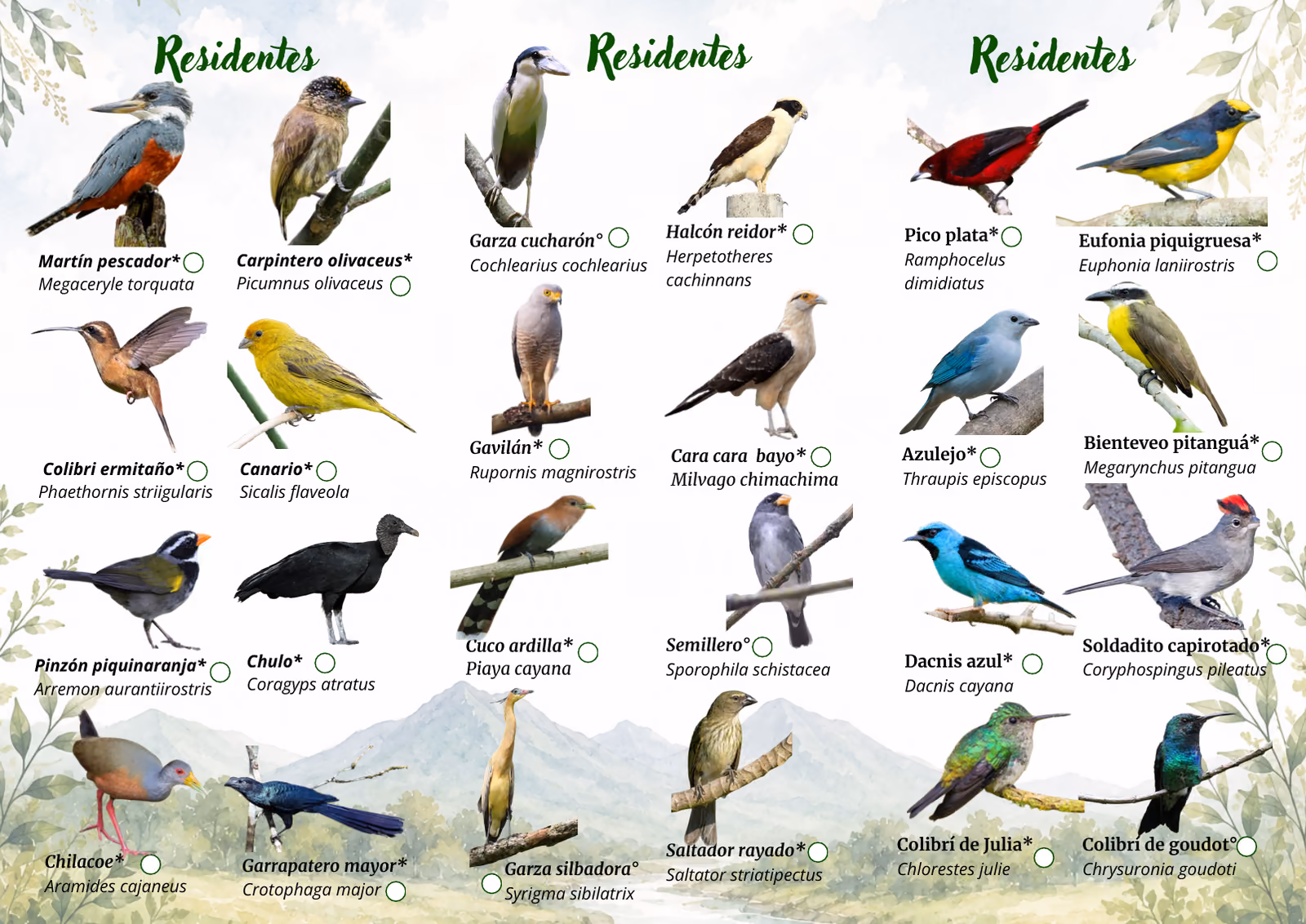 Cara A de la lámina: 24 aves residentes de la Reserva Natural La Esmeralda