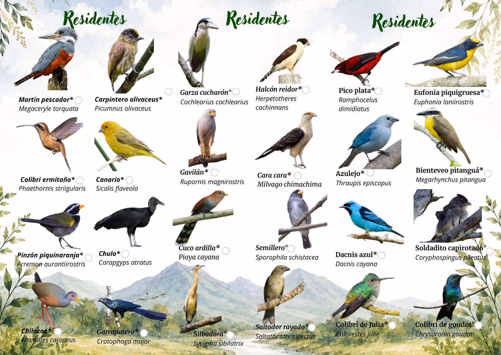 Cara A de la lámina: 24 aves residentes de la Reserva Natural La Esmeralda