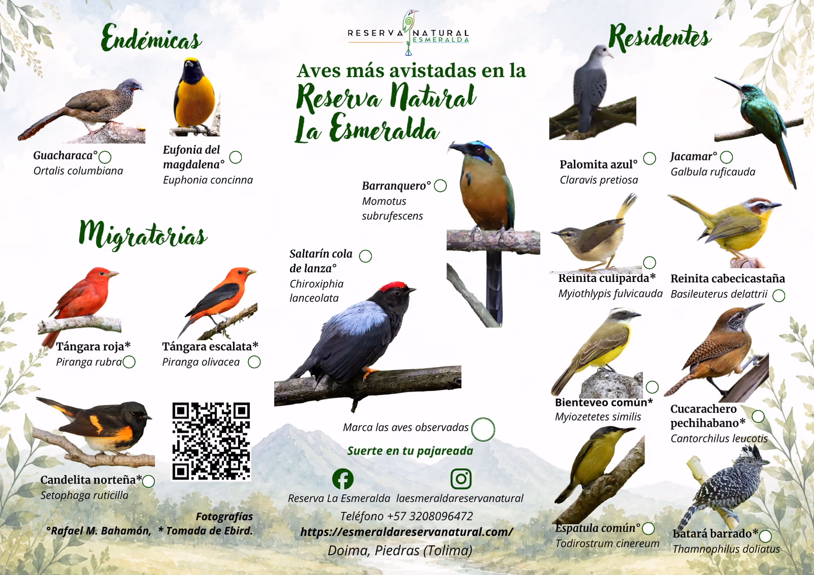 Cara B de la lámina: aves endémicas, migratorias y residentes de la reserva