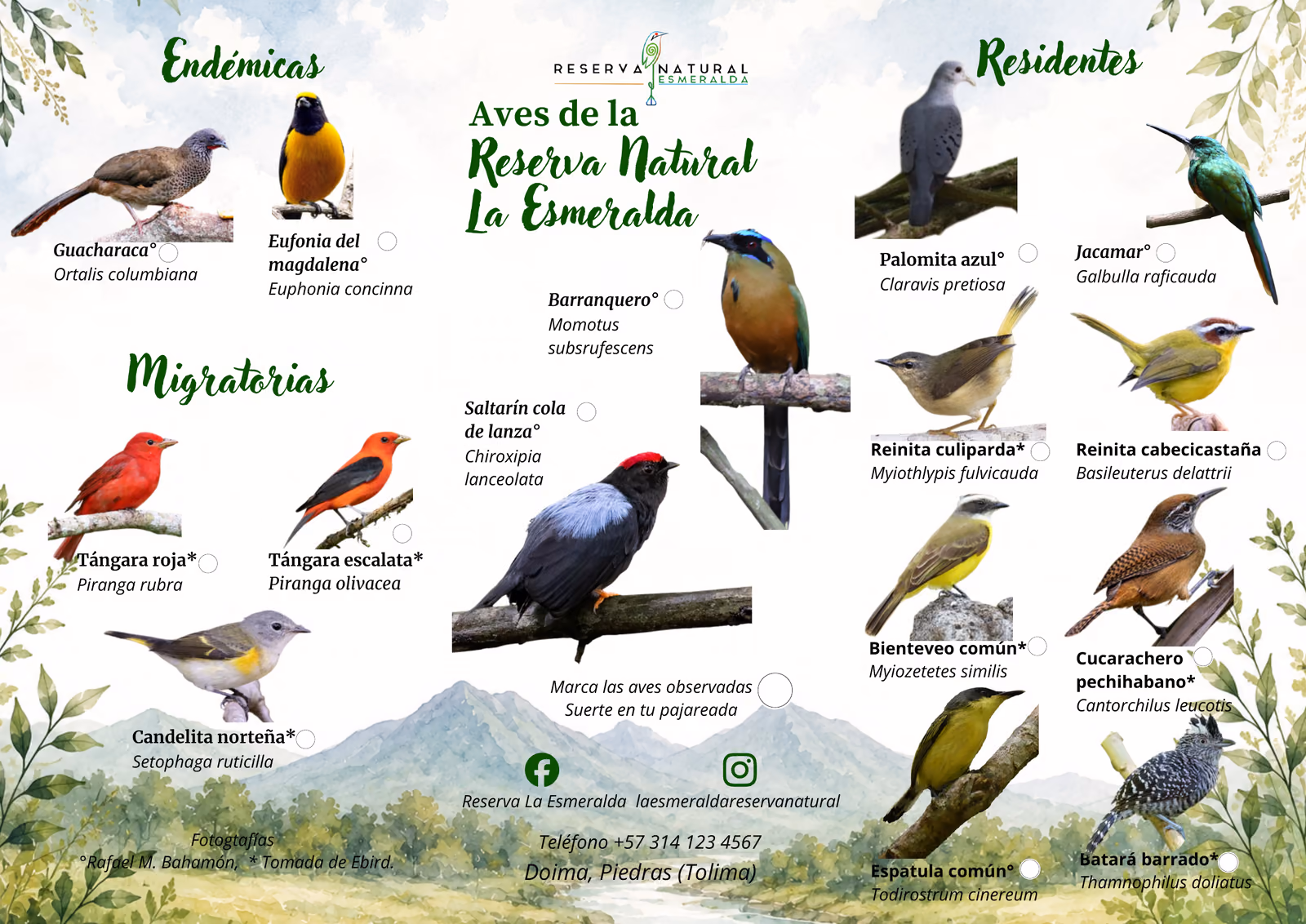 Cara B de la lámina: aves endémicas, migratorias y residentes de la reserva