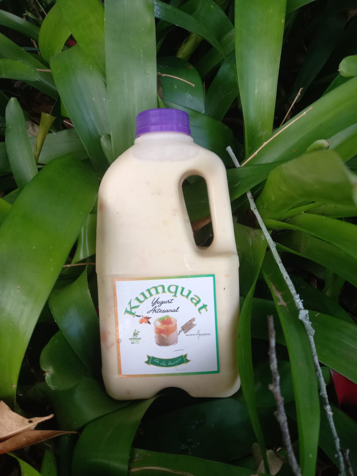 Elaboración de yogurt artesanal 1