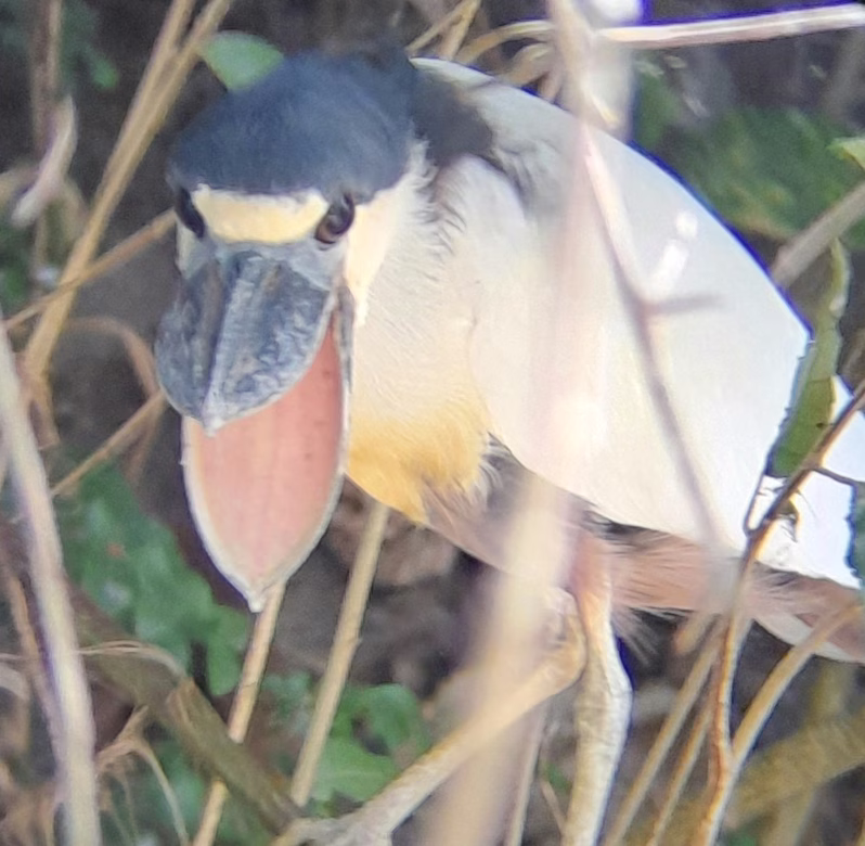 Experiencia en la reserva 3