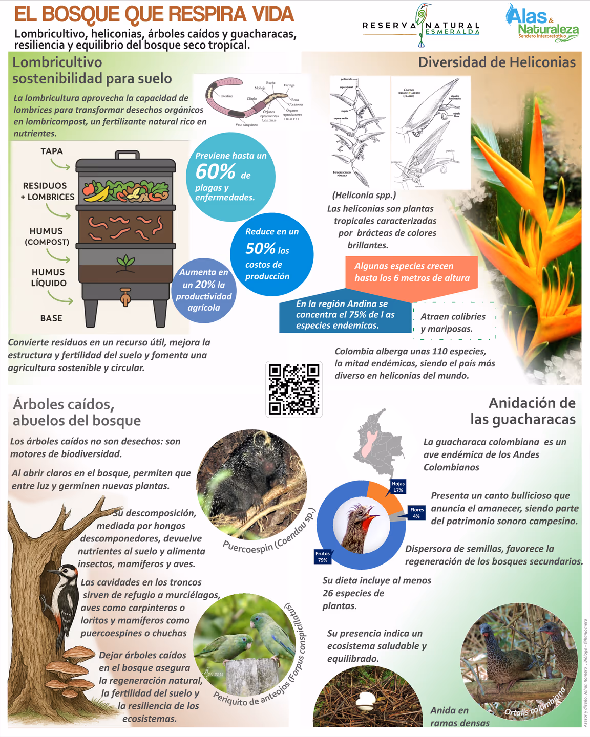 Hablador: El bosque que respira vida - Lombricultivo, heliconias, árboles caídos y guacharacas