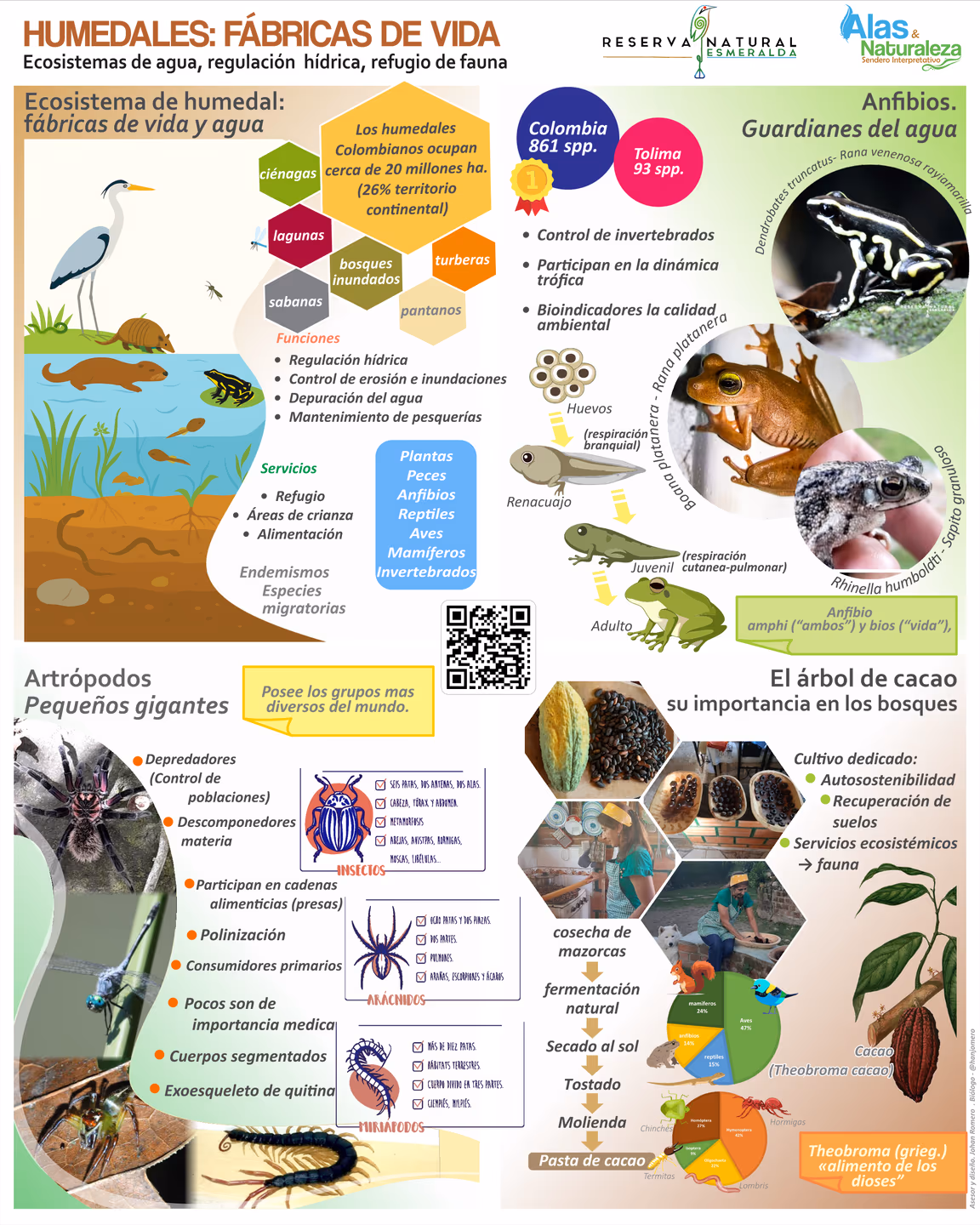 Hablador: Humedales, fábricas de vida - Ecosistemas de agua, anfibios, artrópodos y cacao