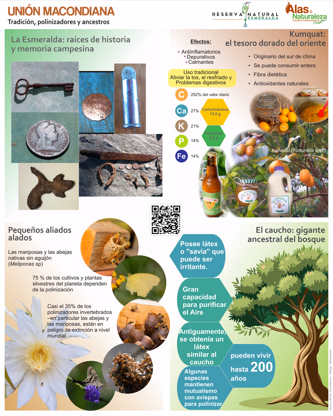 Hablador: Unión Macondiana - Tradición, polinizadores, kumquat y el caucho ancestral